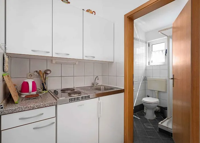 Apartment Brodarica Apartments *